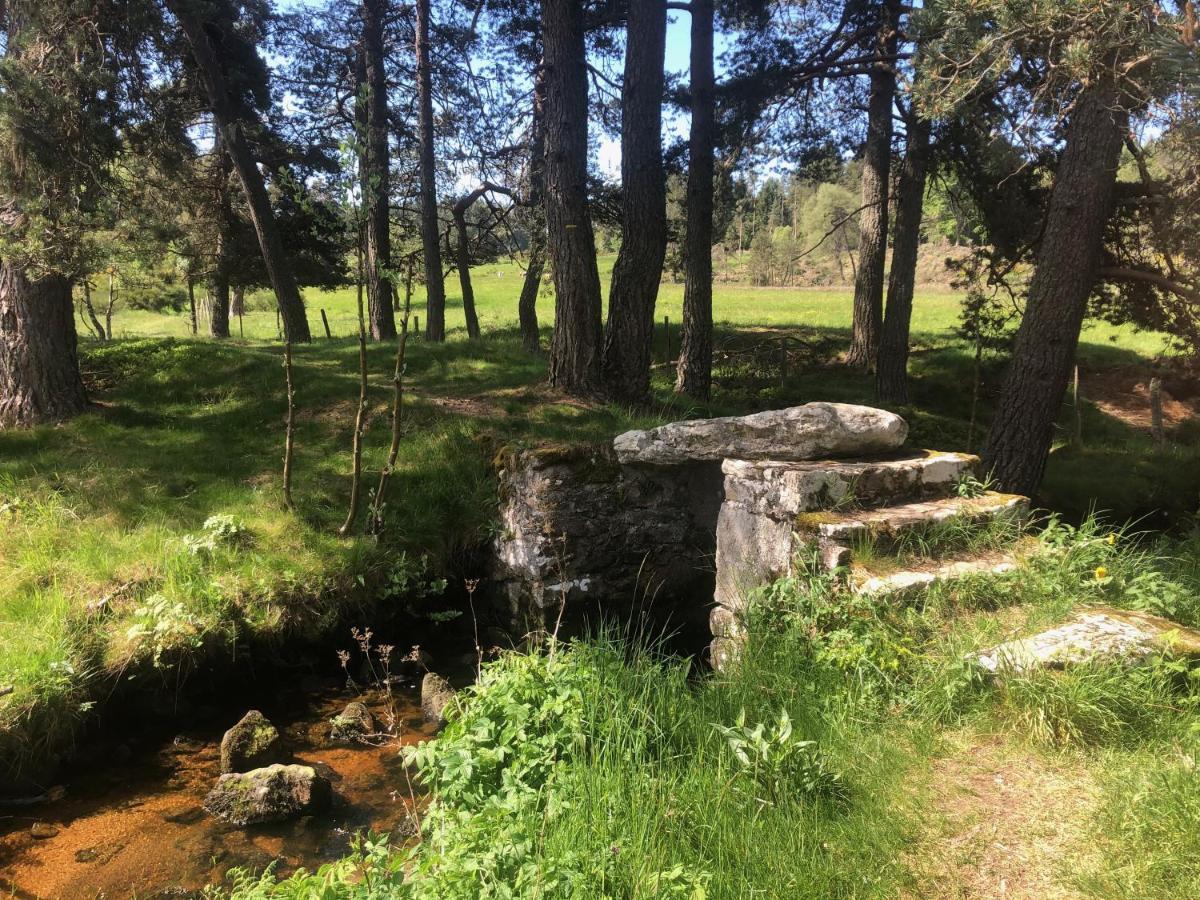 Chambres D'Hotes La Fougeraie Malvières Dış mekan fotoğraf